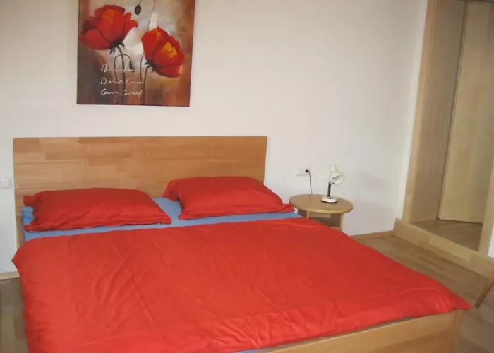 Haus Rainer Apartment *